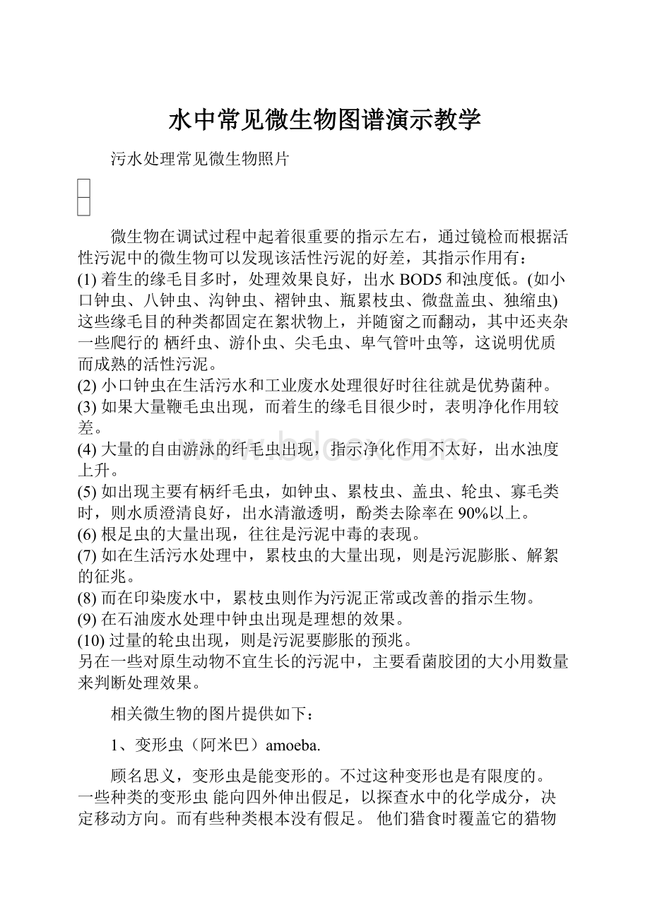 水中常见微生物图谱演示教学.docx