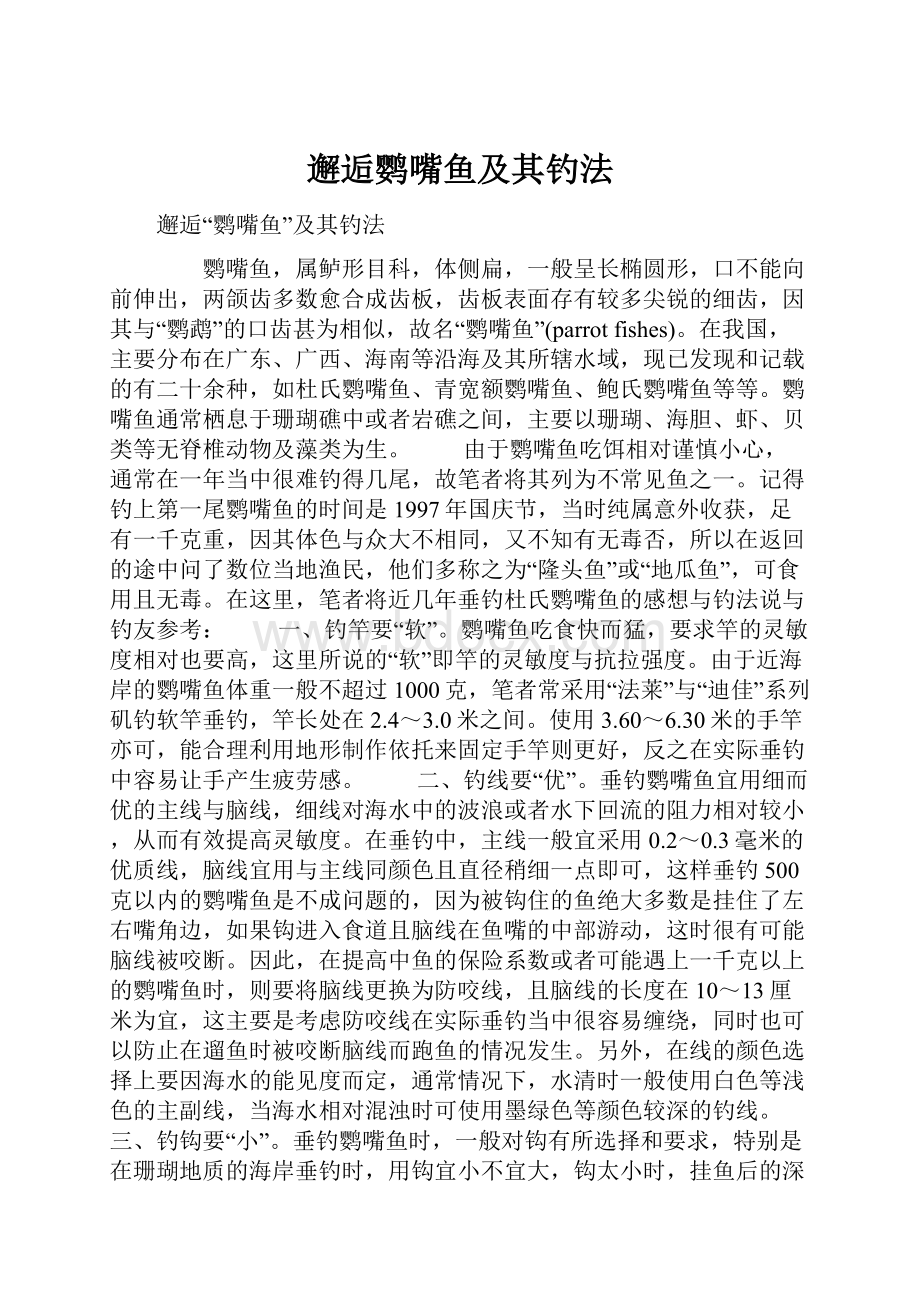 邂逅鹦嘴鱼及其钓法.docx_第1页