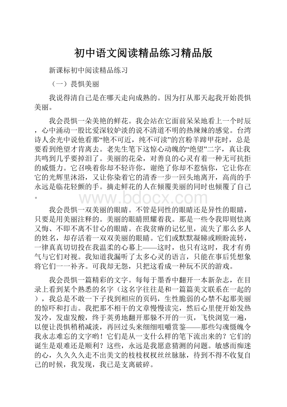 初中语文阅读精品练习精品版.docx