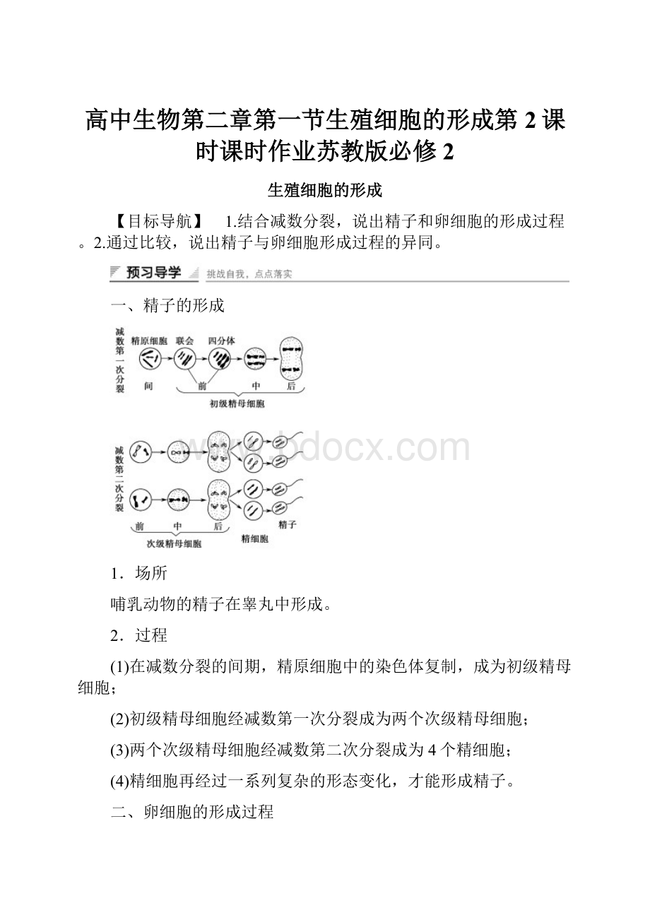 高中生物第二章第一节生殖细胞的形成第2课时课时作业苏教版必修2.docx_第1页