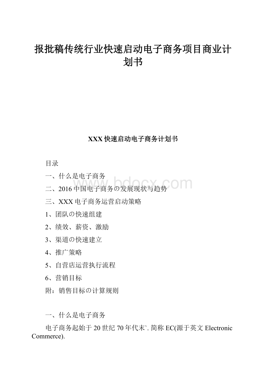 报批稿传统行业快速启动电子商务项目商业计划书.docx_第1页