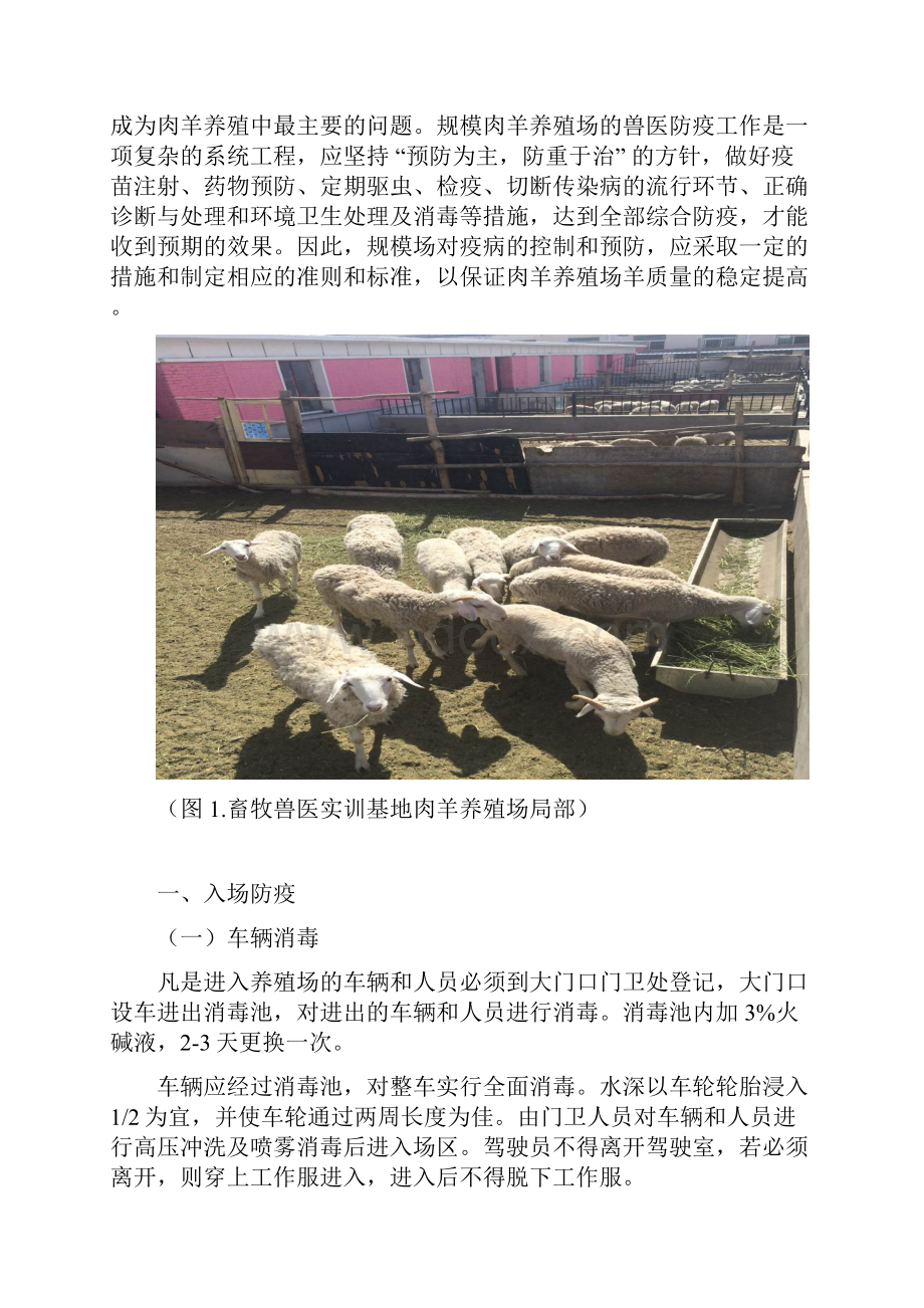 畜牧兽医实训基地肉羊养殖场防疫设计畜牧兽医学位论文.docx_第3页