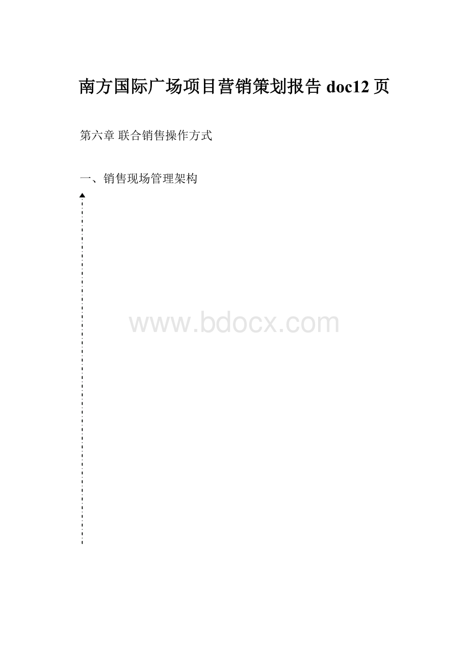 南方国际广场项目营销策划报告doc12页.docx