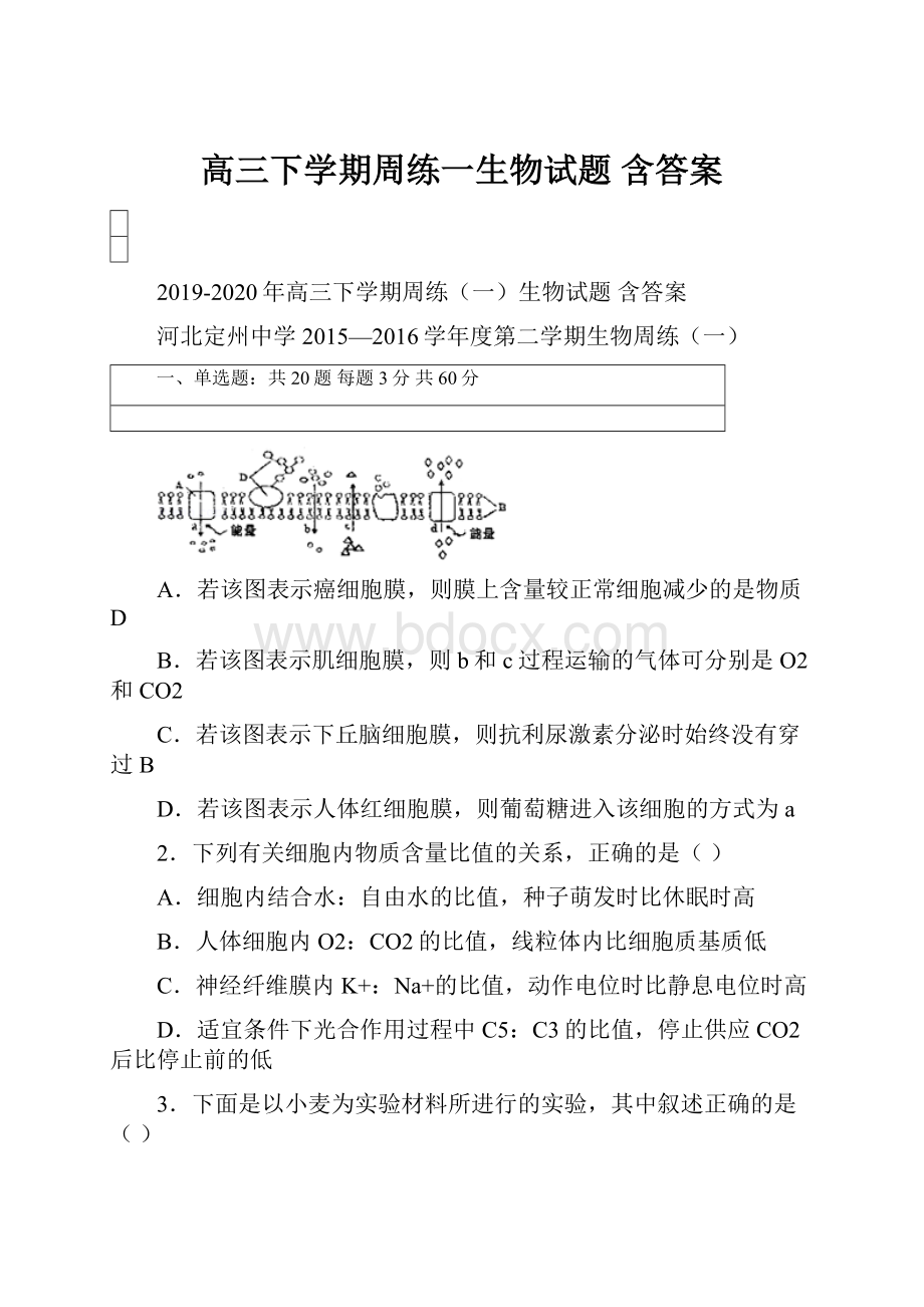 高三下学期周练一生物试题 含答案.docx