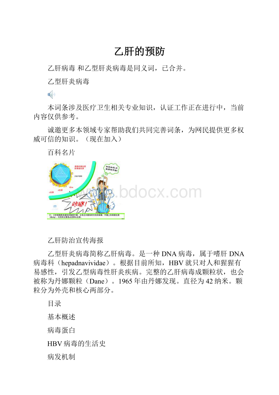 乙肝的预防.docx_第1页