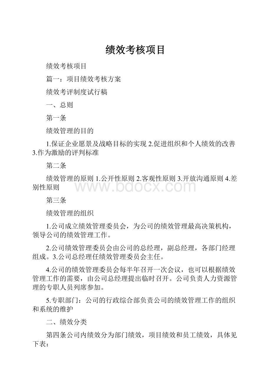 绩效考核项目.docx