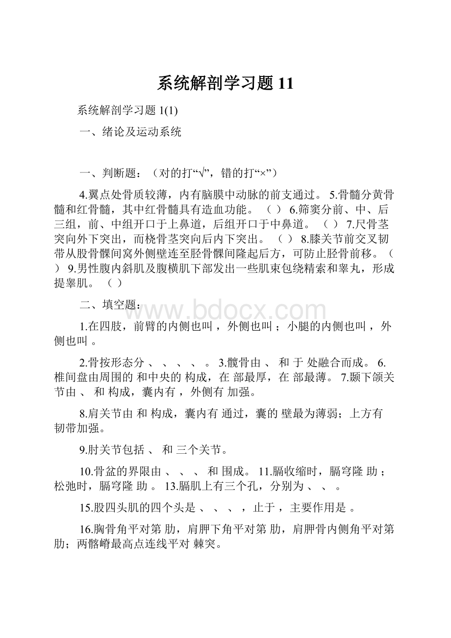 系统解剖学习题11.docx