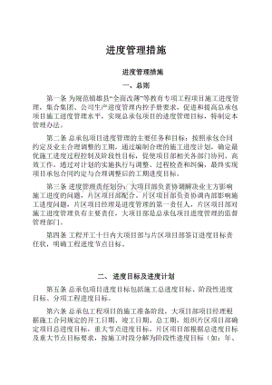 进度管理措施.docx