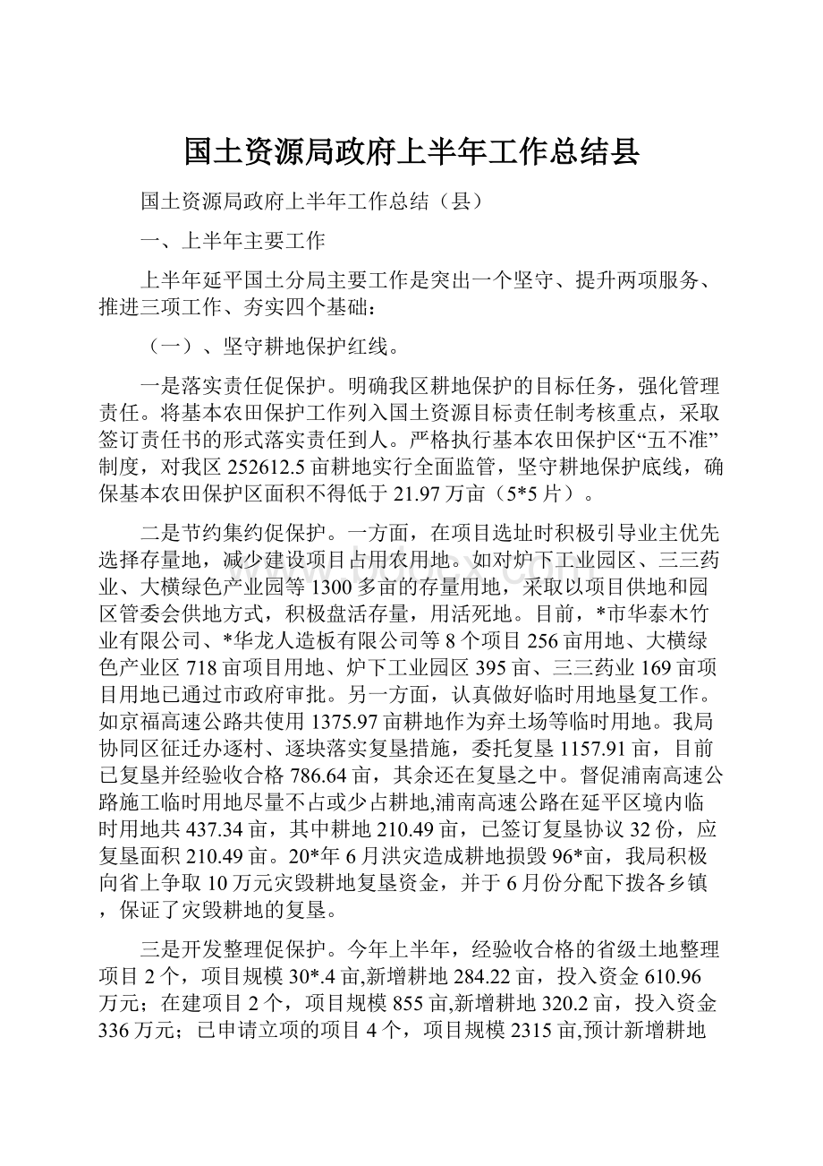 国土资源局政府上半年工作总结县.docx