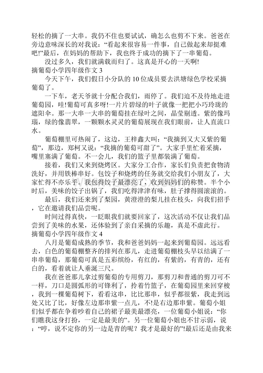 摘葡萄小学四年级作文.docx_第2页