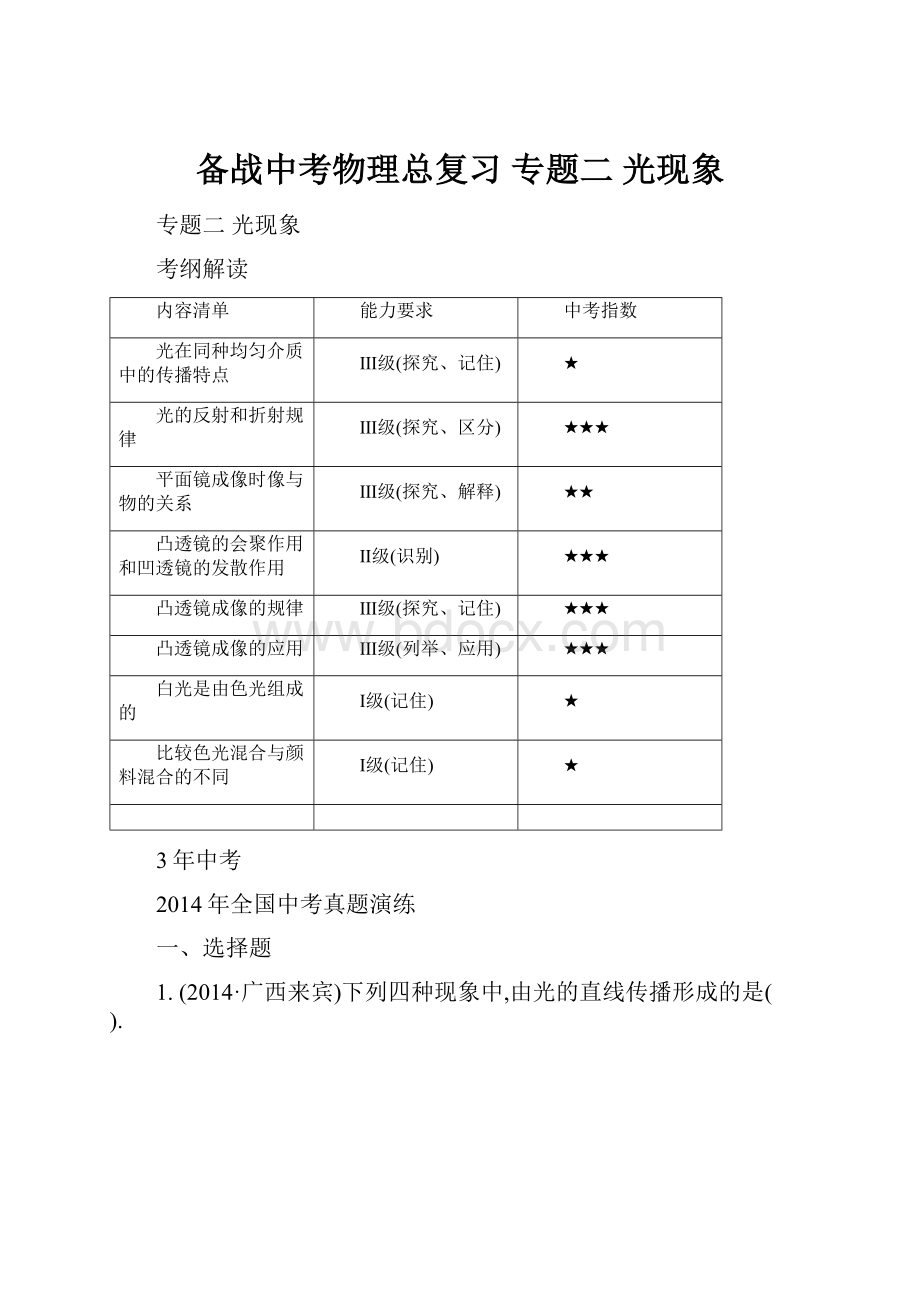 备战中考物理总复习 专题二 光现象.docx