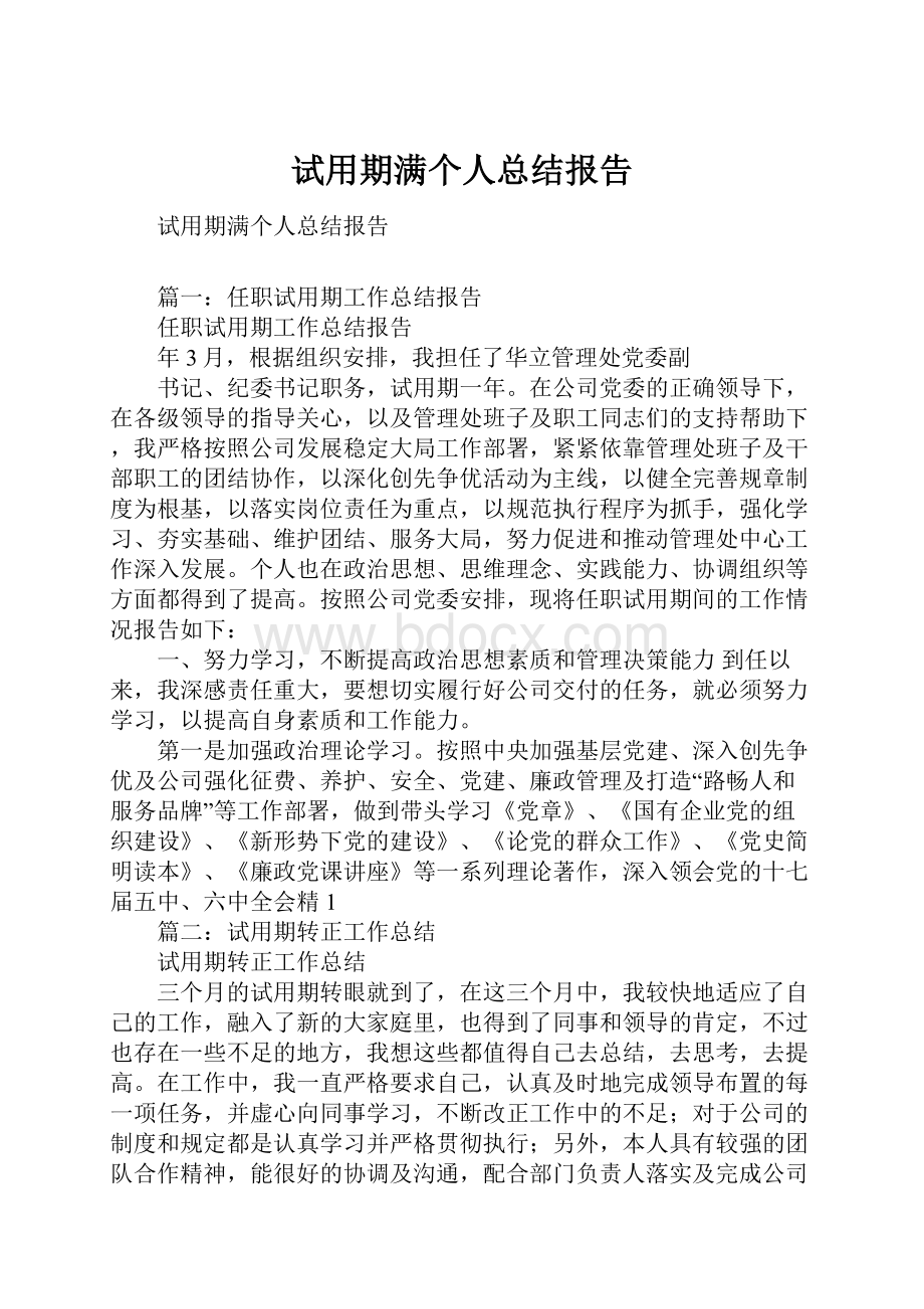 试用期满个人总结报告.docx_第1页