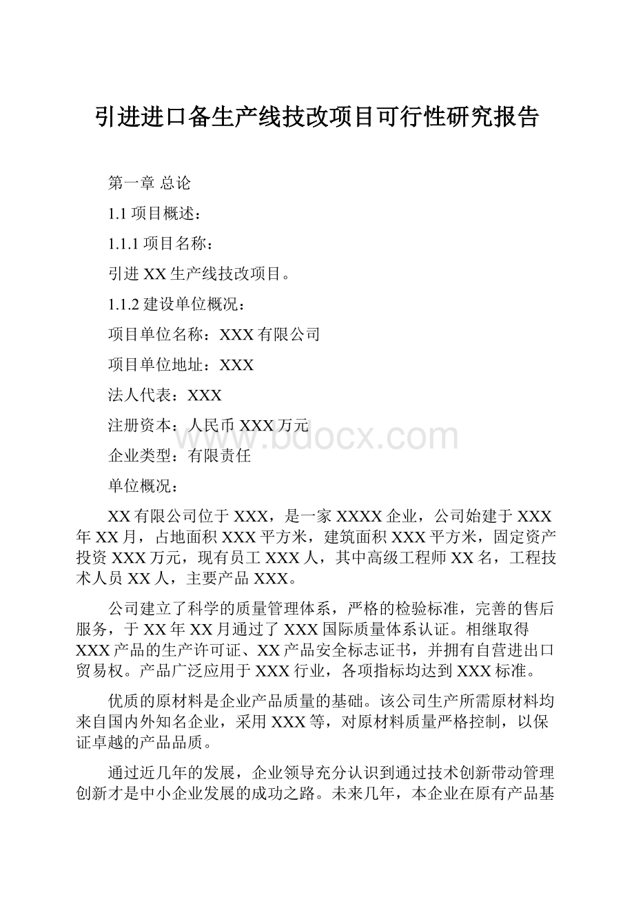 引进进口备生产线技改项目可行性研究报告.docx_第1页