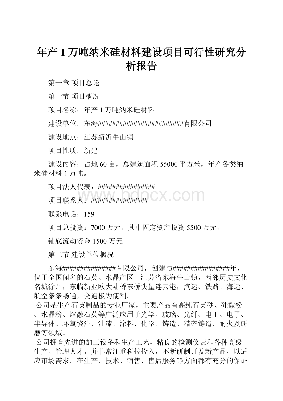 年产1万吨纳米硅材料建设项目可行性研究分析报告.docx_第1页