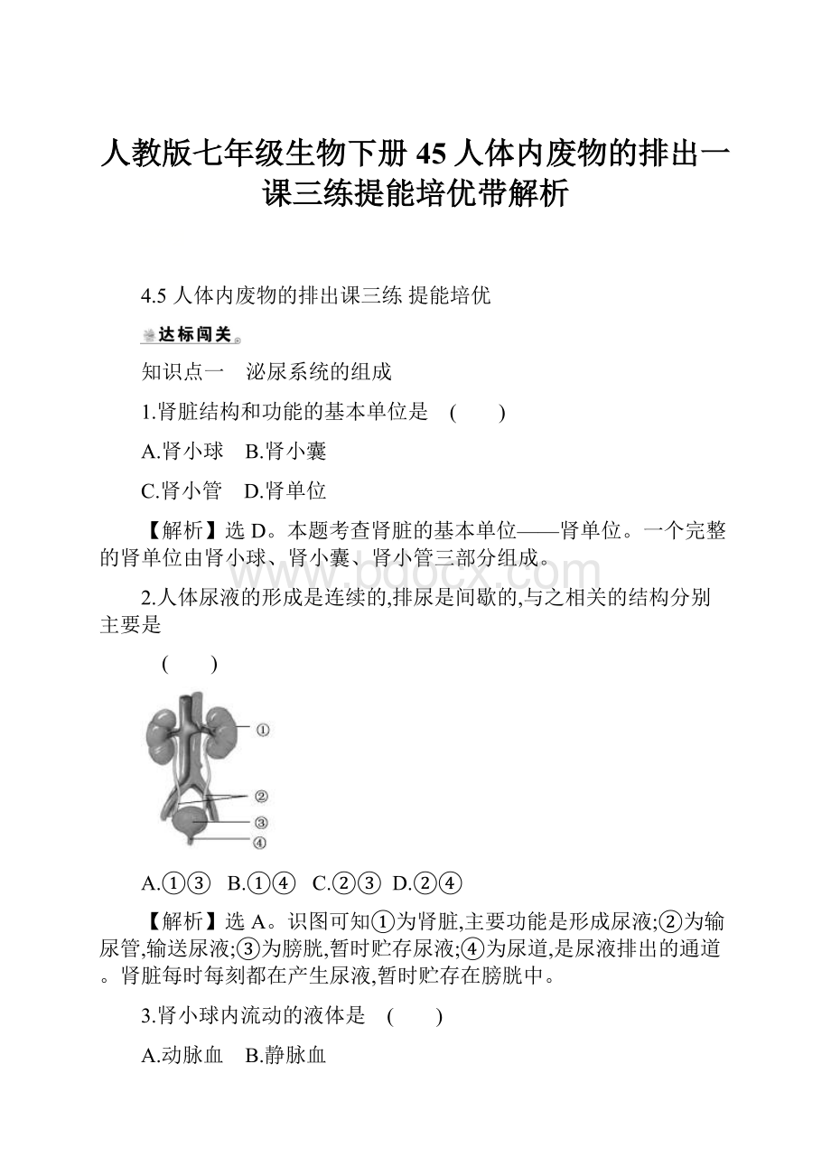 人教版七年级生物下册45人体内废物的排出一课三练提能培优带解析.docx_第1页