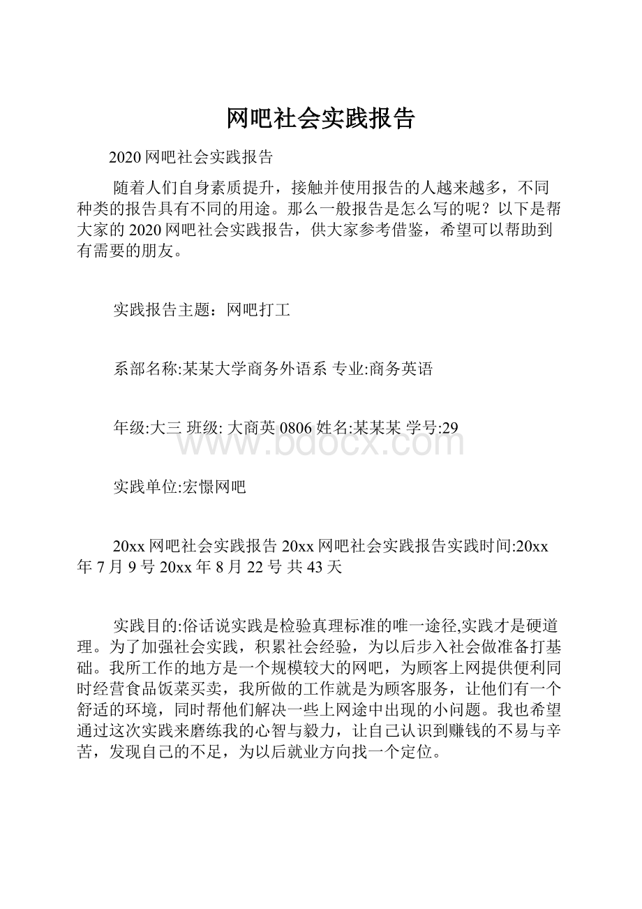 网吧社会实践报告.docx