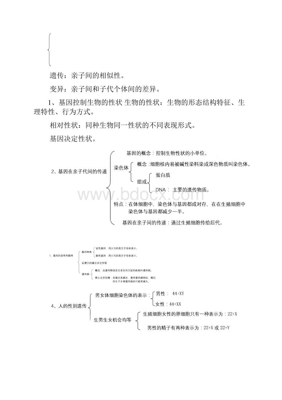 初中生物专题遗传变异和进化.docx_第2页