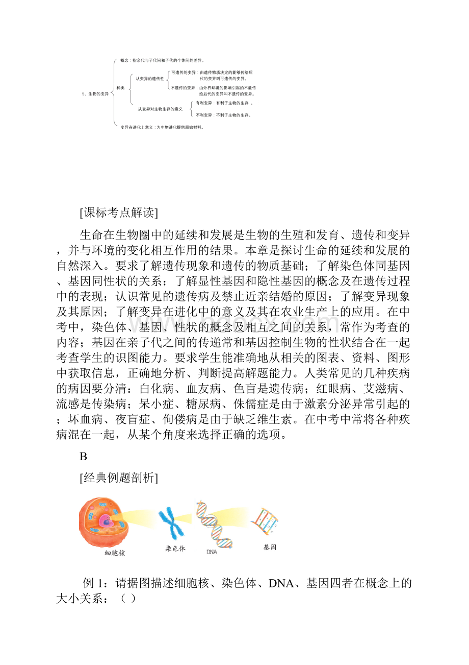 初中生物专题遗传变异和进化.docx_第3页