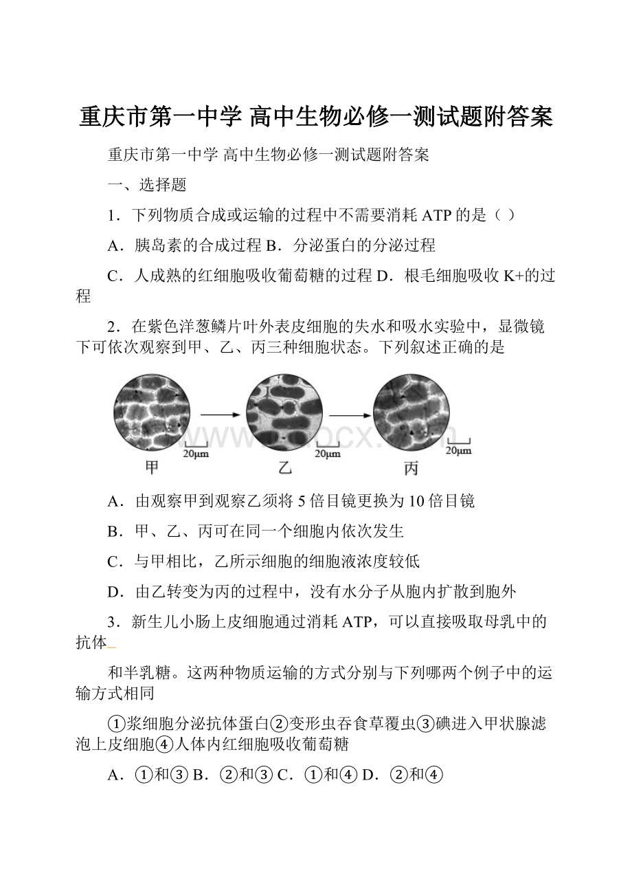 重庆市第一中学 高中生物必修一测试题附答案.docx