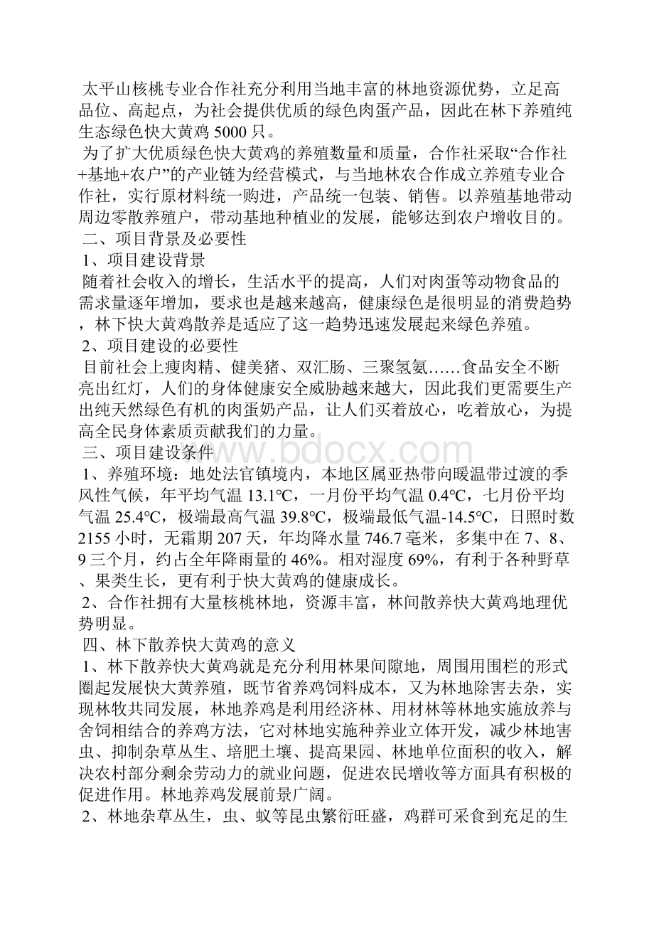 5000只林下散养快大黄鸡建设项目可行性研究报告.docx_第2页