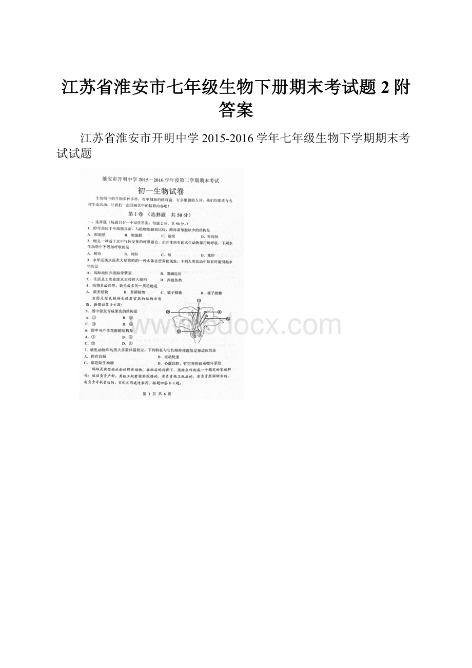 江苏省淮安市七年级生物下册期末考试题2附答案.docx_第1页