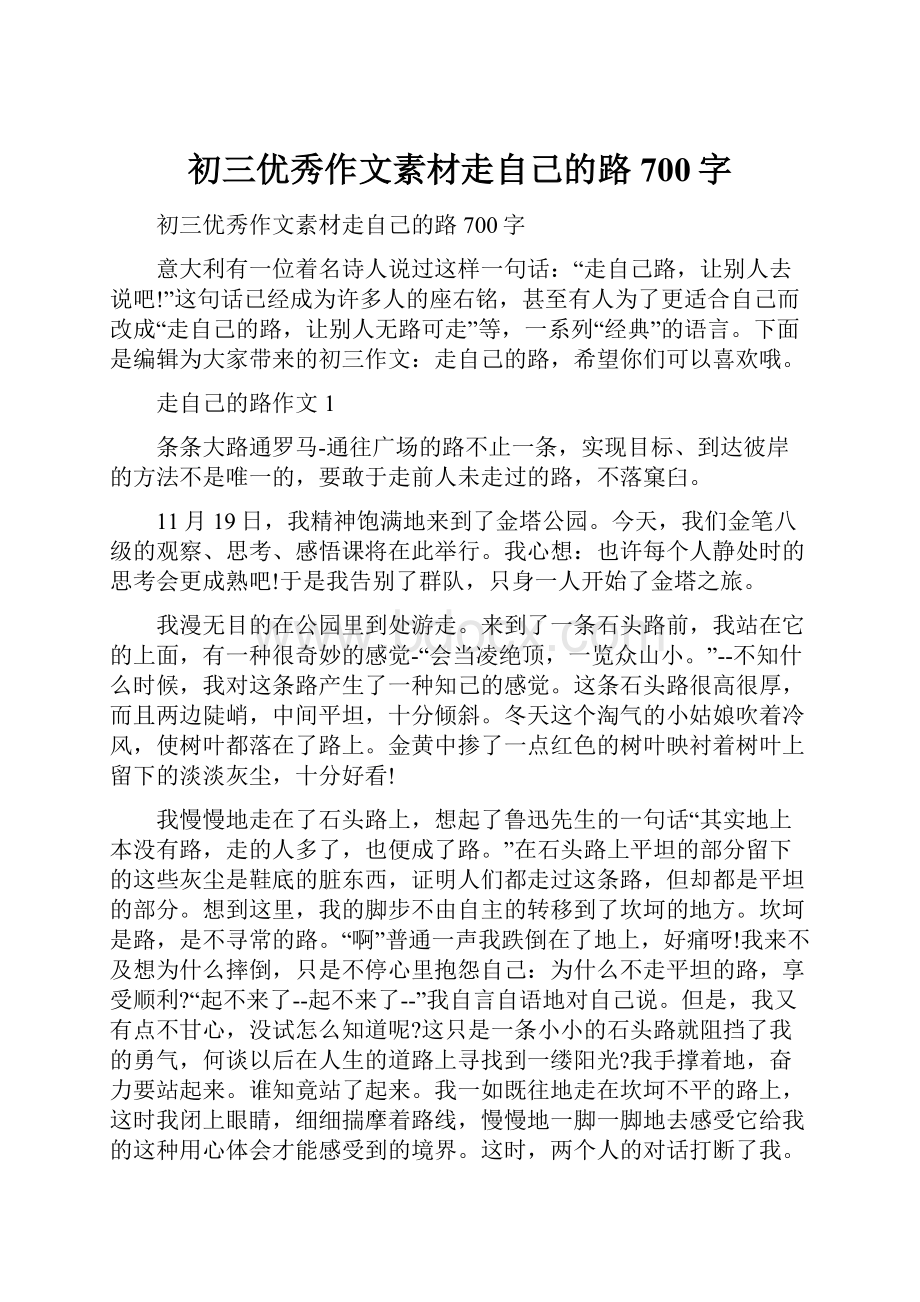 初三优秀作文素材走自己的路700字.docx