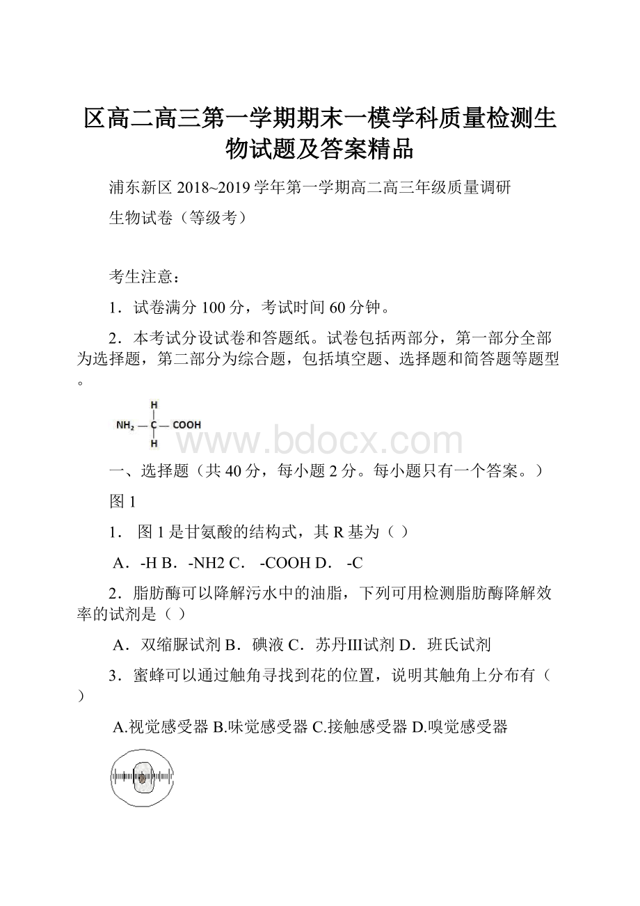 区高二高三第一学期期末一模学科质量检测生物试题及答案精品.docx_第1页