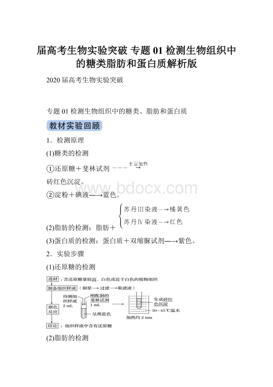 届高考生物实验突破 专题01 检测生物组织中的糖类脂肪和蛋白质解析版.docx