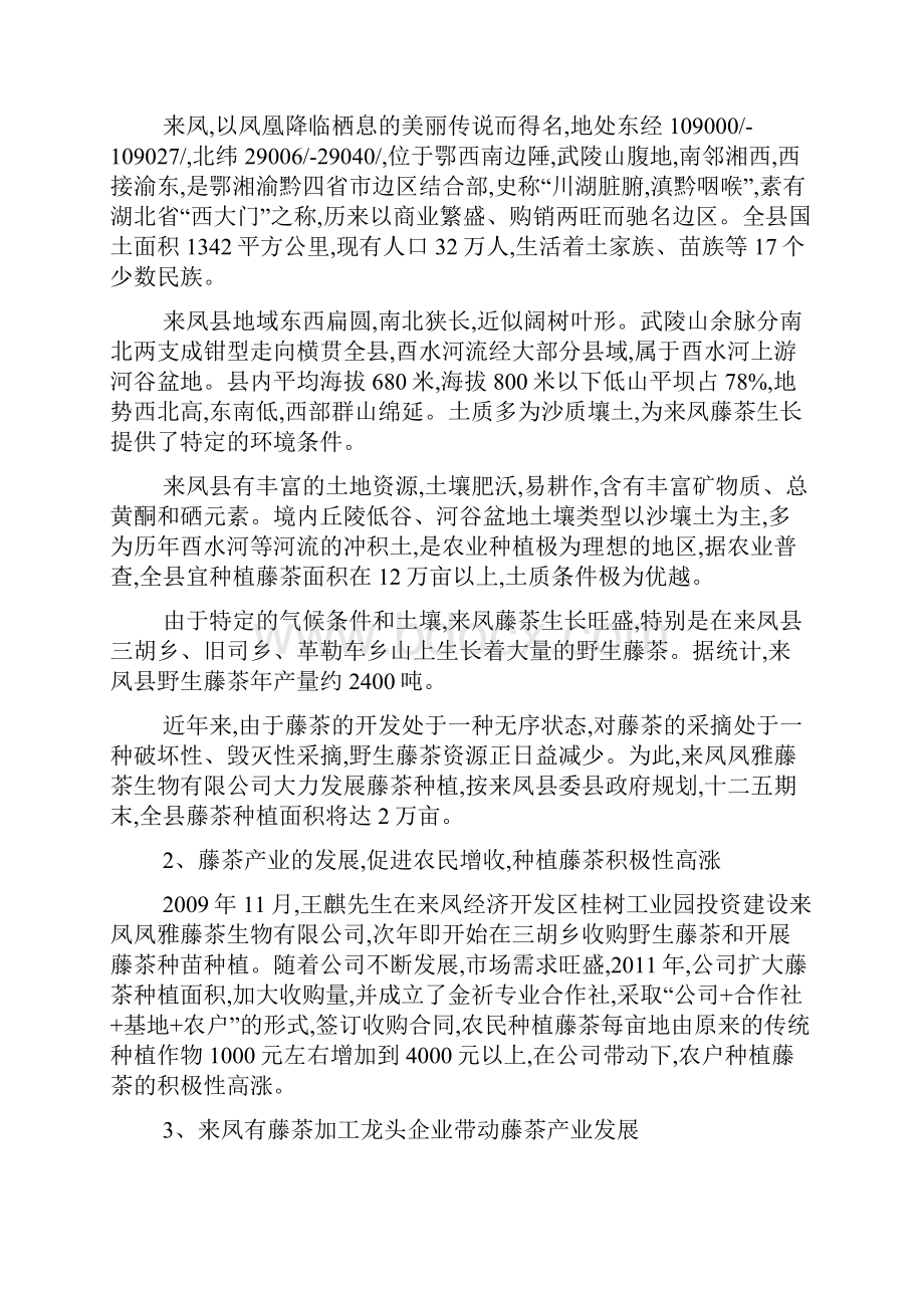 优质XX藤茶种植加工产业一体化项目建议书.docx_第3页