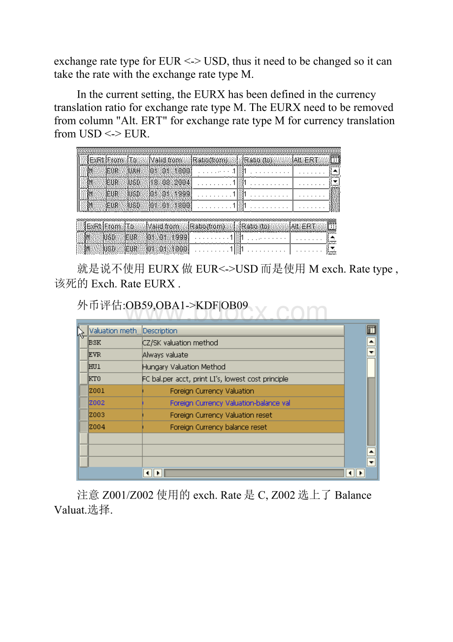 整理SAP+FI+汇率与外币评估.docx_第2页