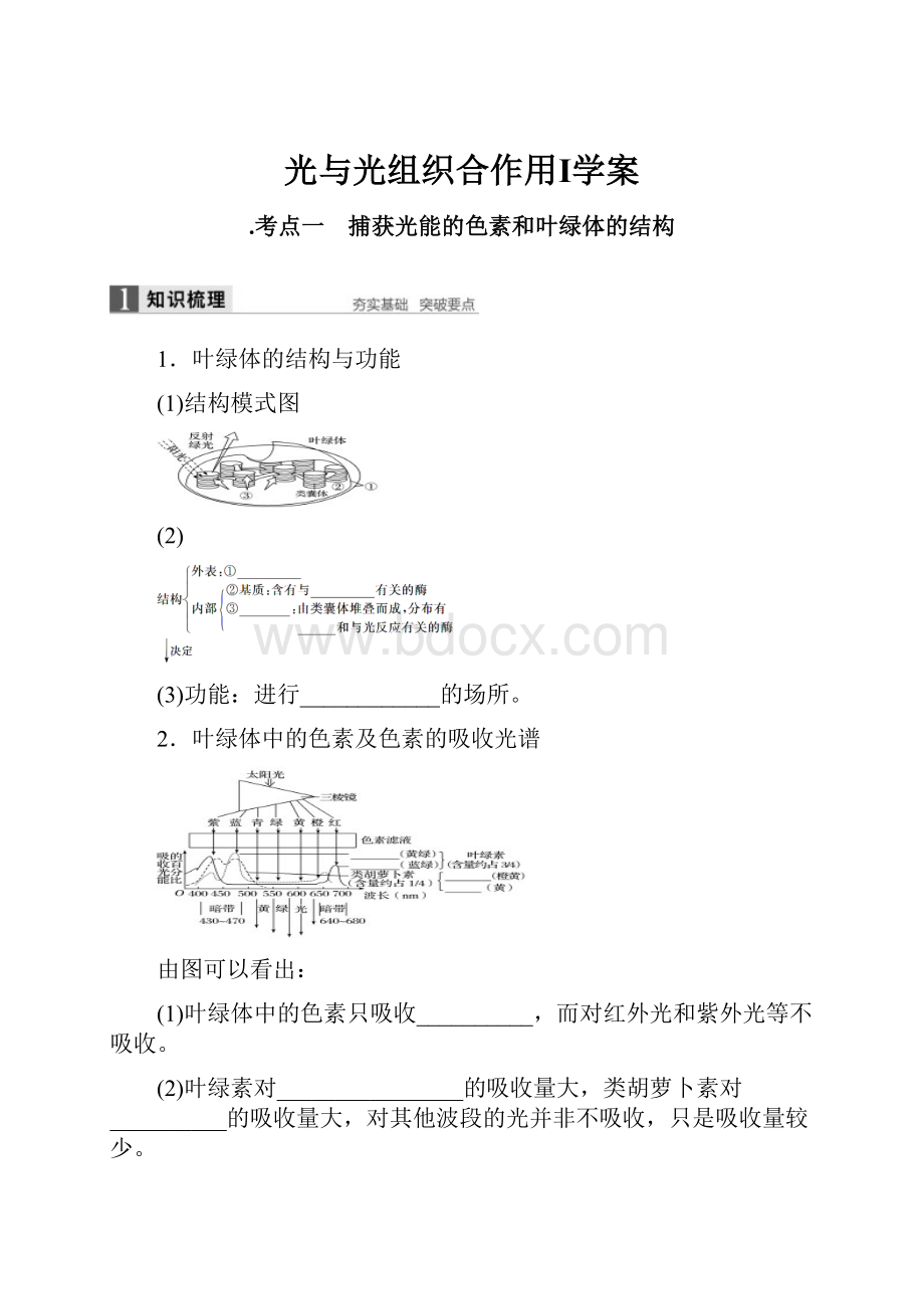 光与光组织合作用Ⅰ学案.docx