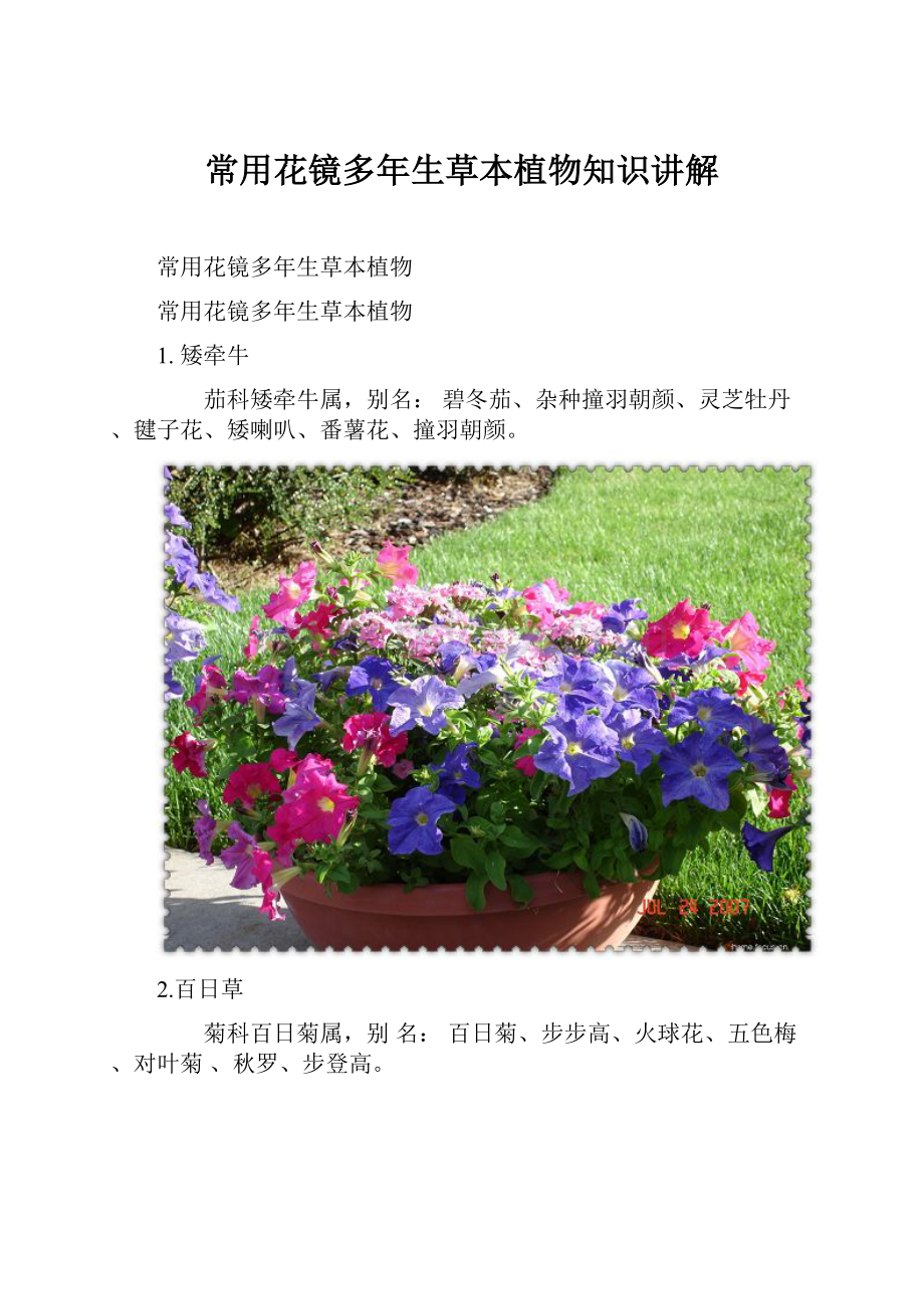 常用花镜多年生草本植物知识讲解.docx