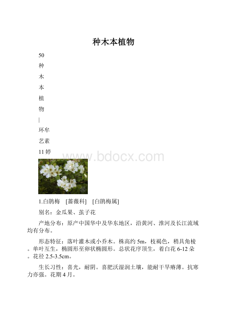 种木本植物.docx