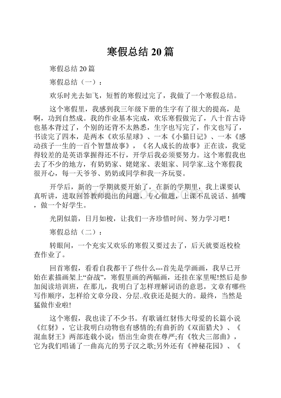 寒假总结20篇.docx