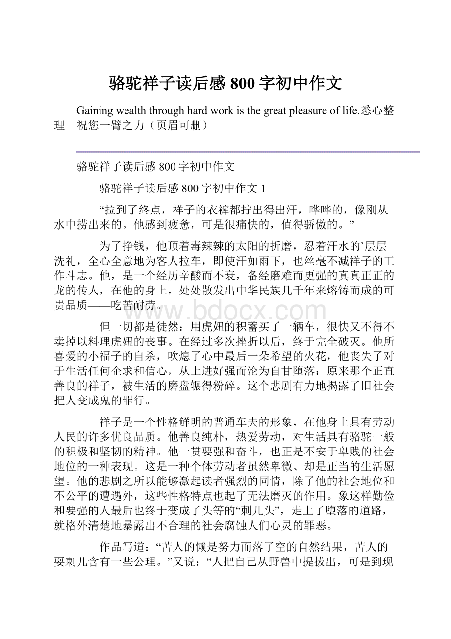 骆驼祥子读后感800字初中作文.docx