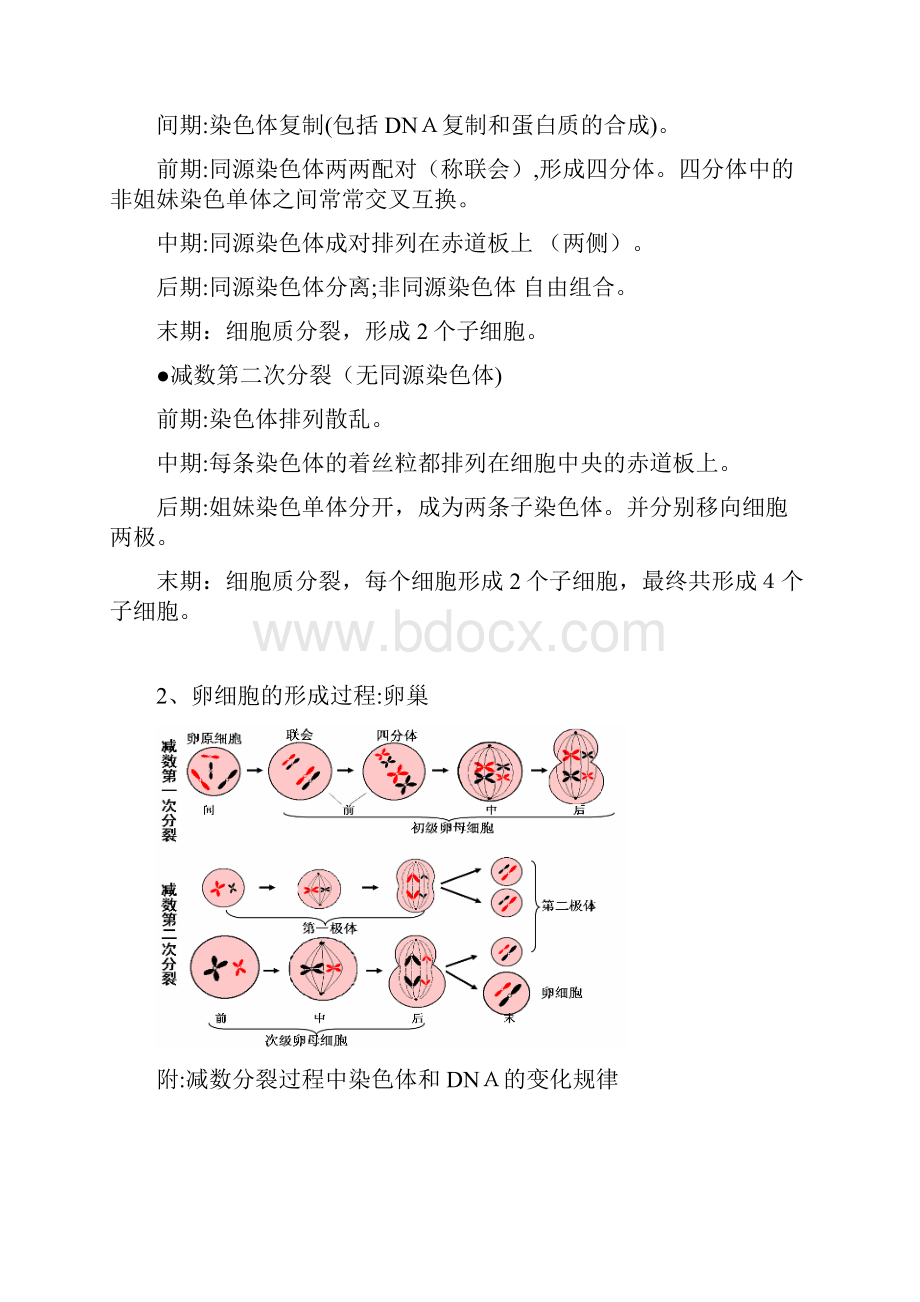 高中生物必修二知识点总结精华版.docx_第2页