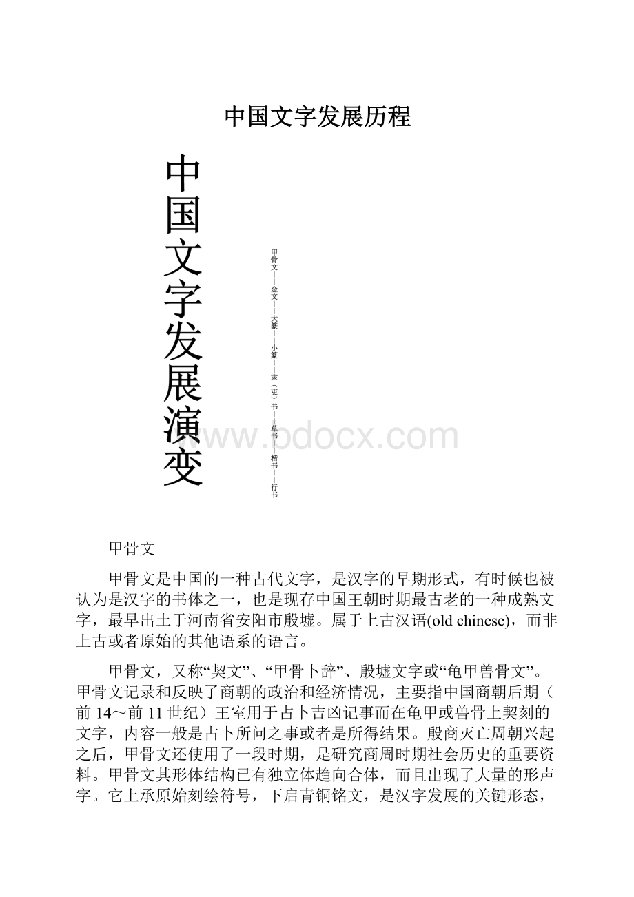 中国文字发展历程.docx