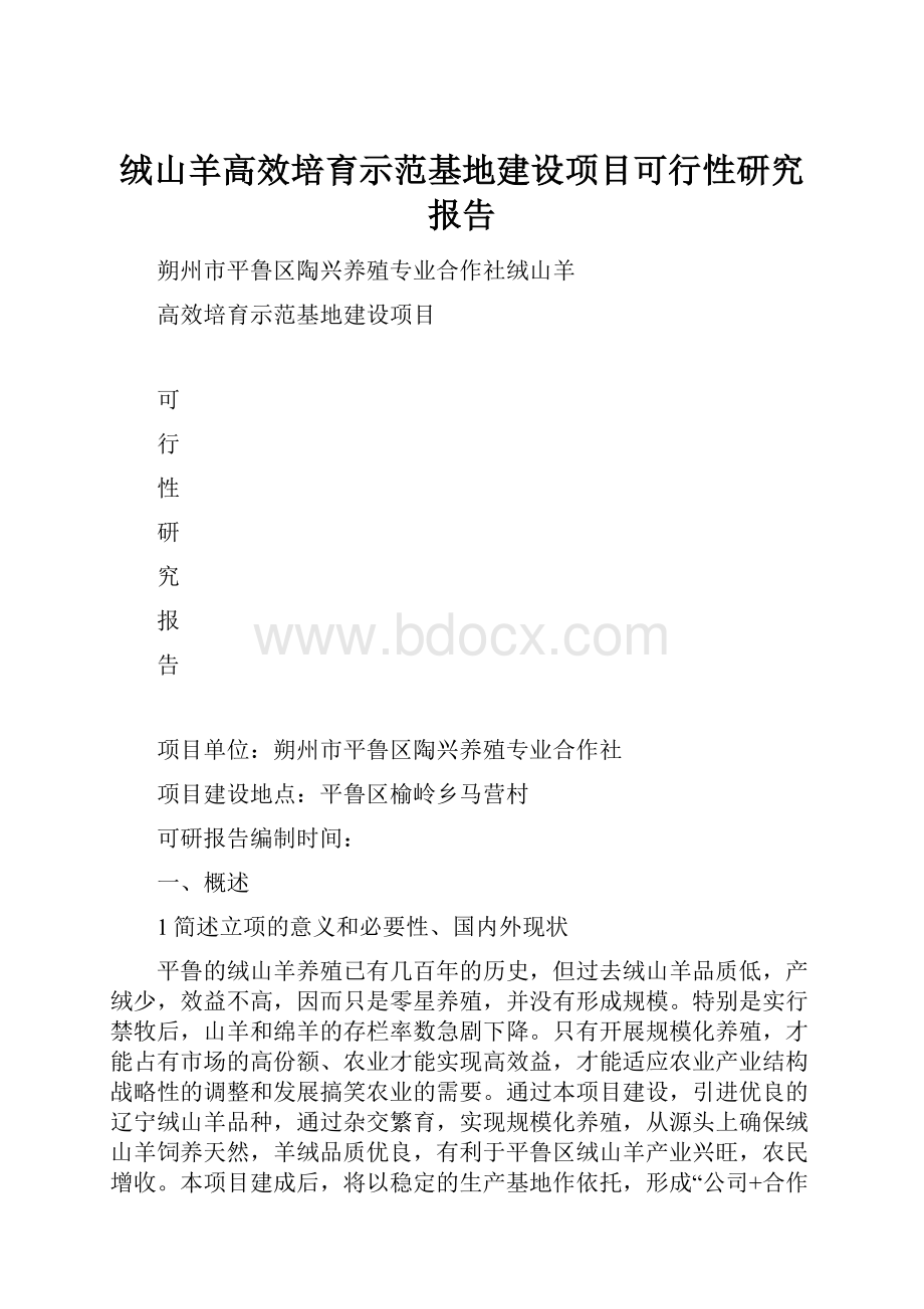 绒山羊高效培育示范基地建设项目可行性研究报告.docx