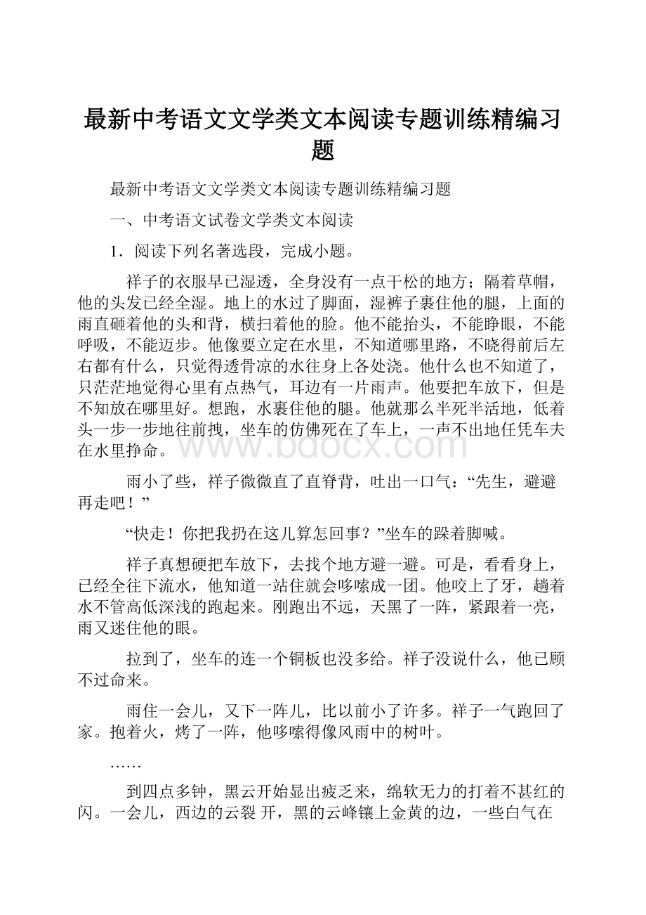 最新中考语文文学类文本阅读专题训练精编习题.docx