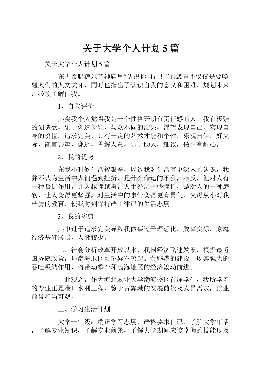 关于大学个人计划5篇.docx