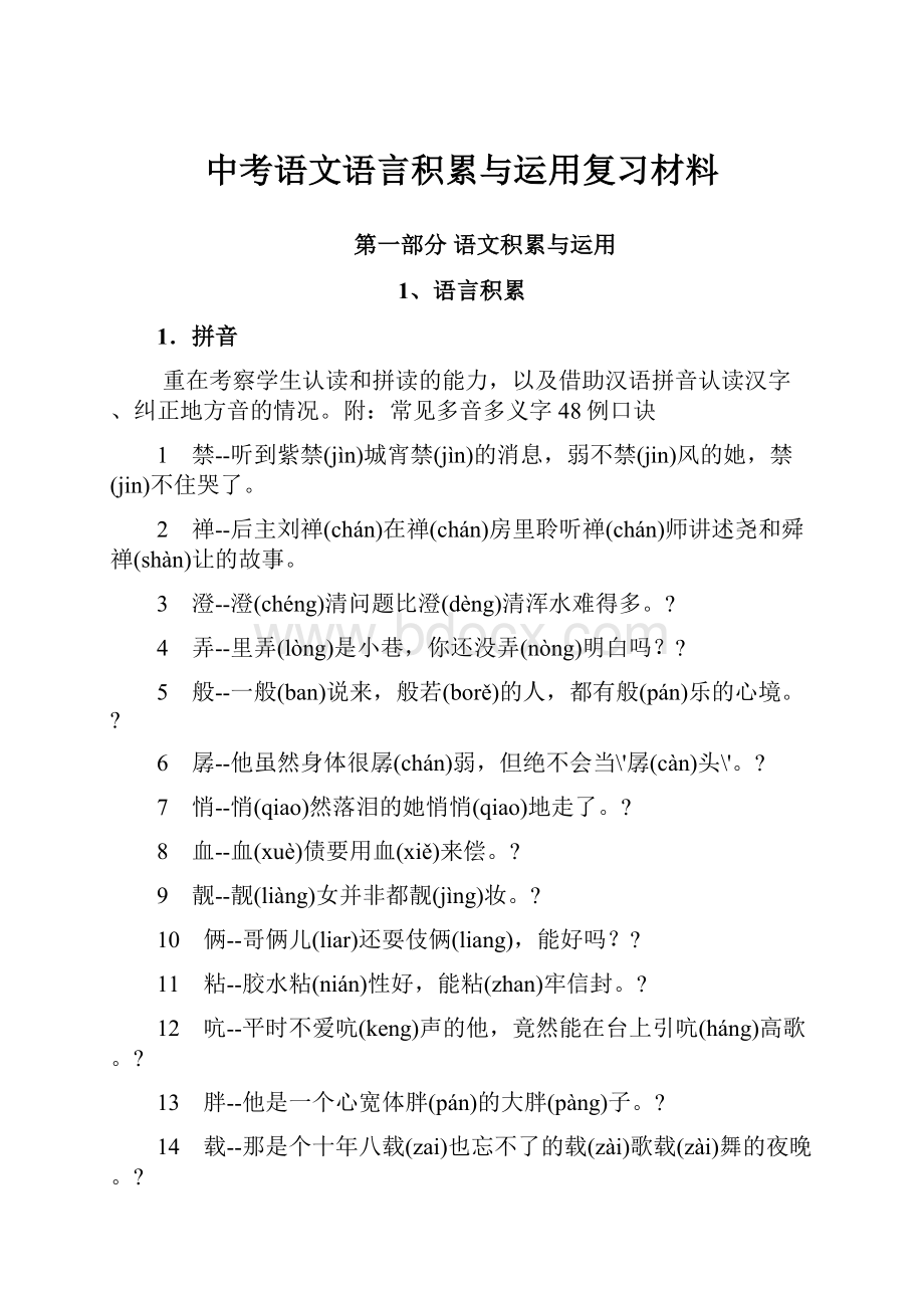 中考语文语言积累与运用复习材料.docx