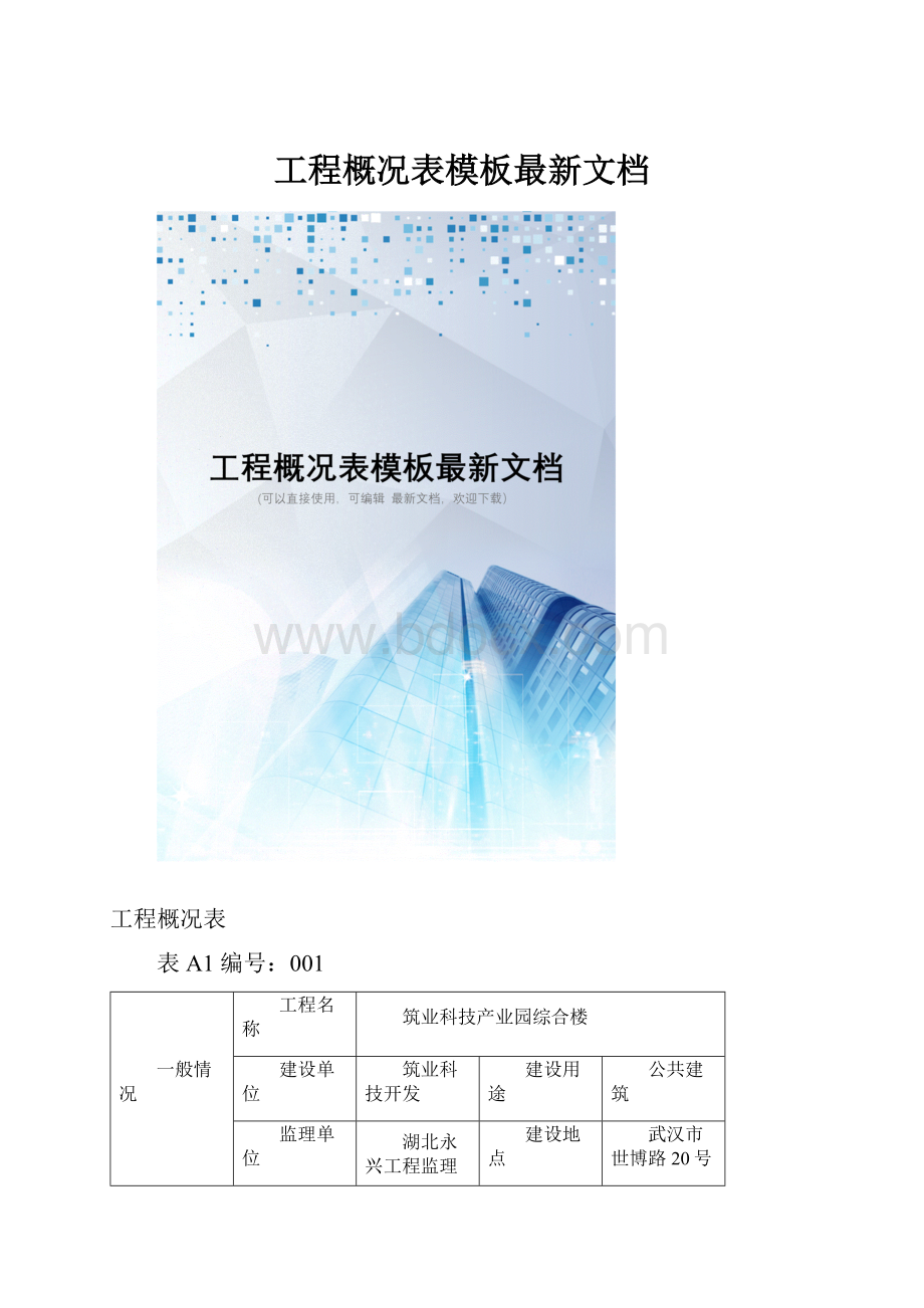 工程概况表模板最新文档.docx