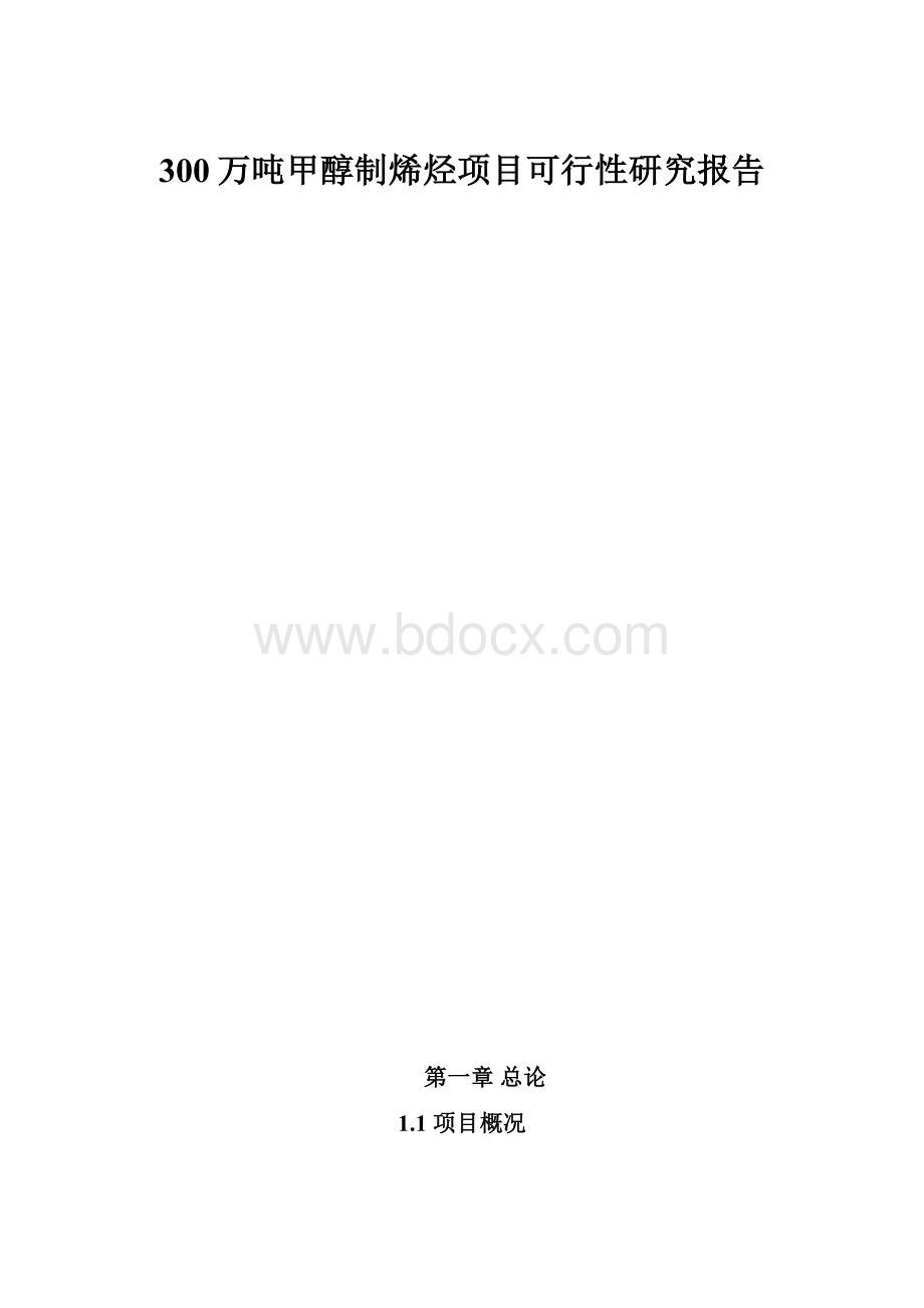 300万吨甲醇制烯烃项目可行性研究报告.docx