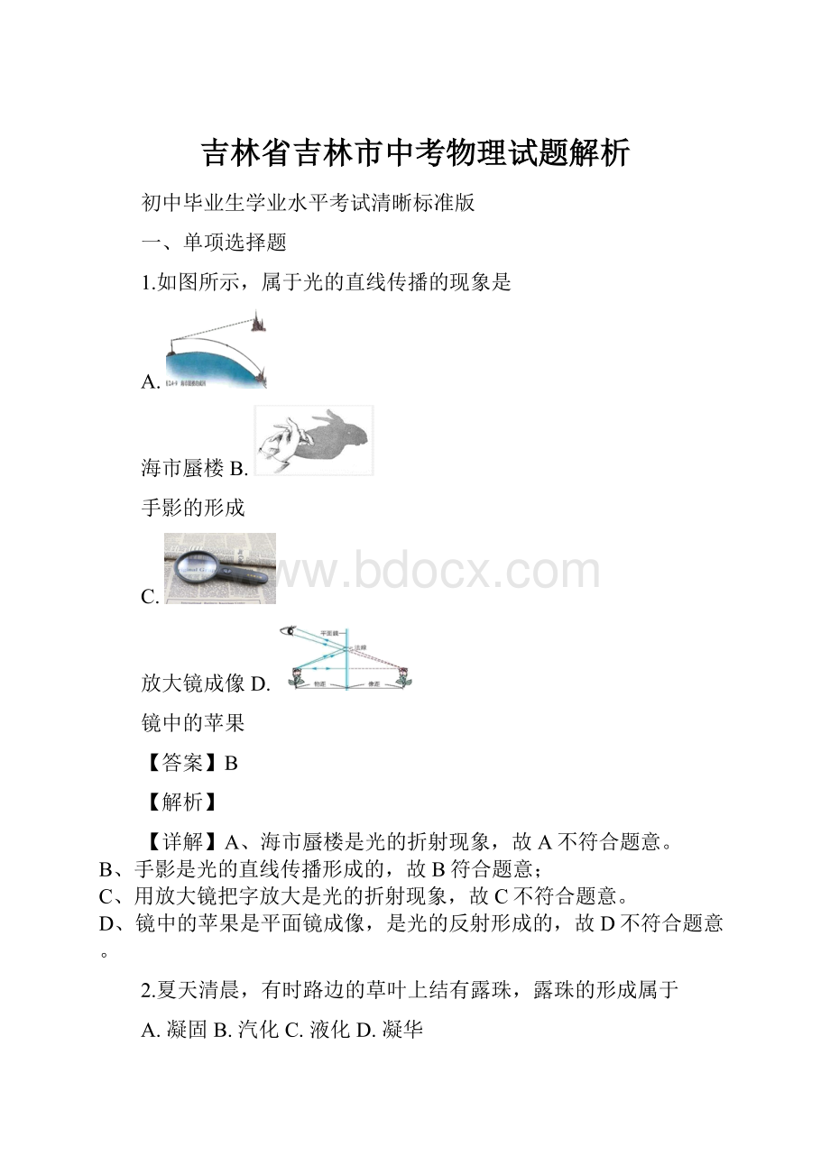 吉林省吉林市中考物理试题解析.docx