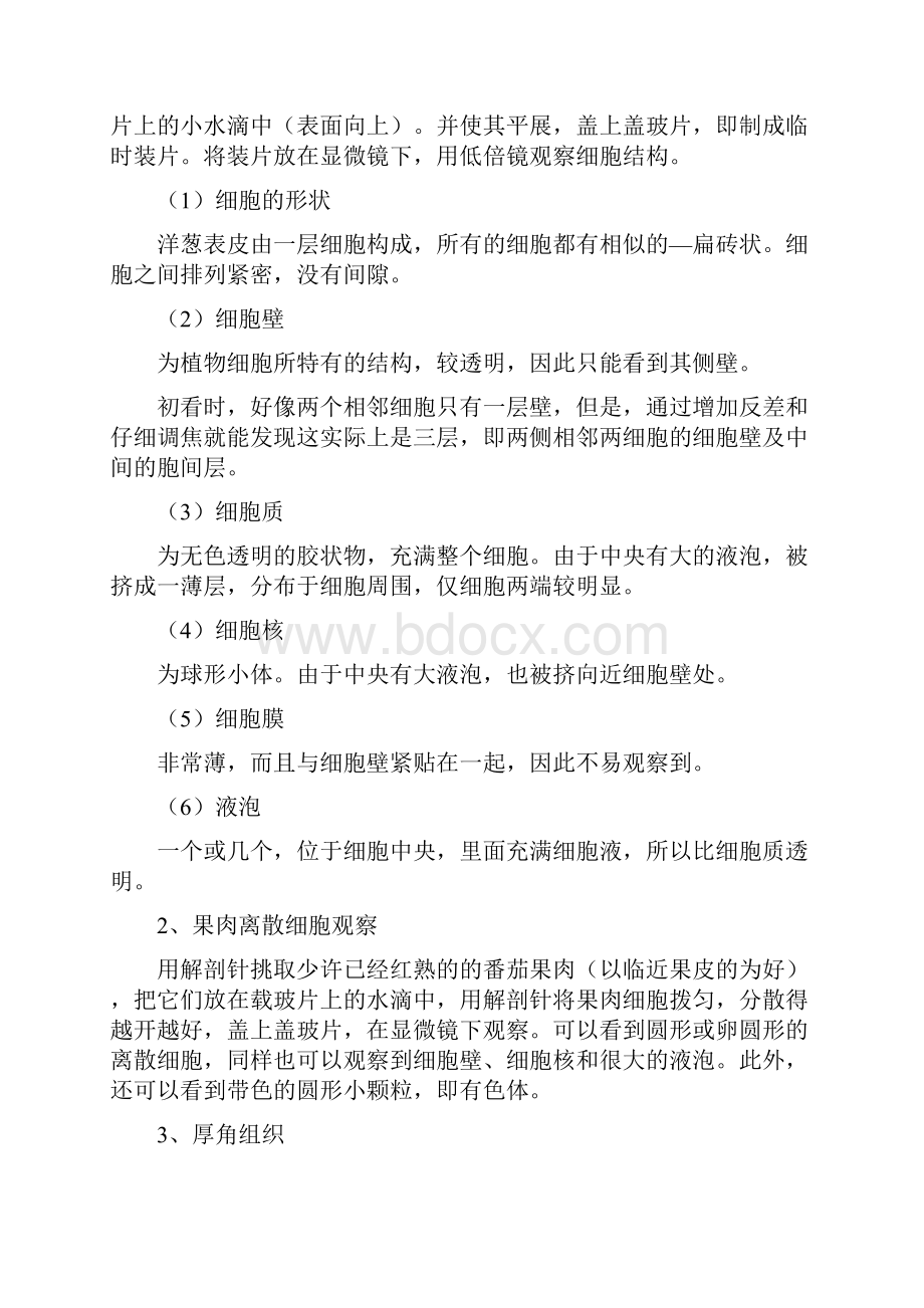 实验二 徒手切片法和临时装片的制作方法以及植物细胞和组织观察.docx_第3页