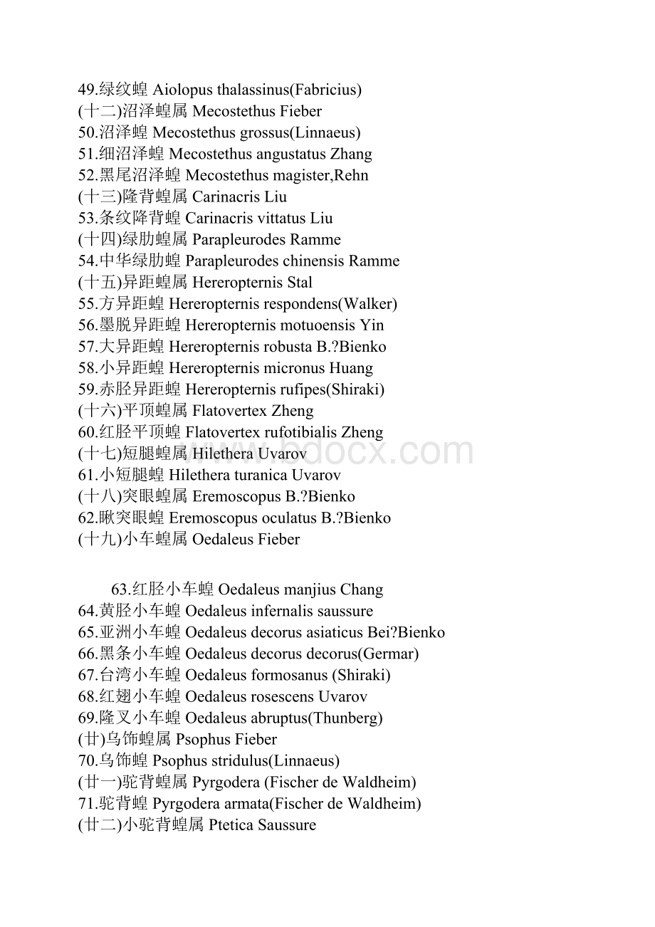 斑翅蝗科网翅蝗科.docx_第3页