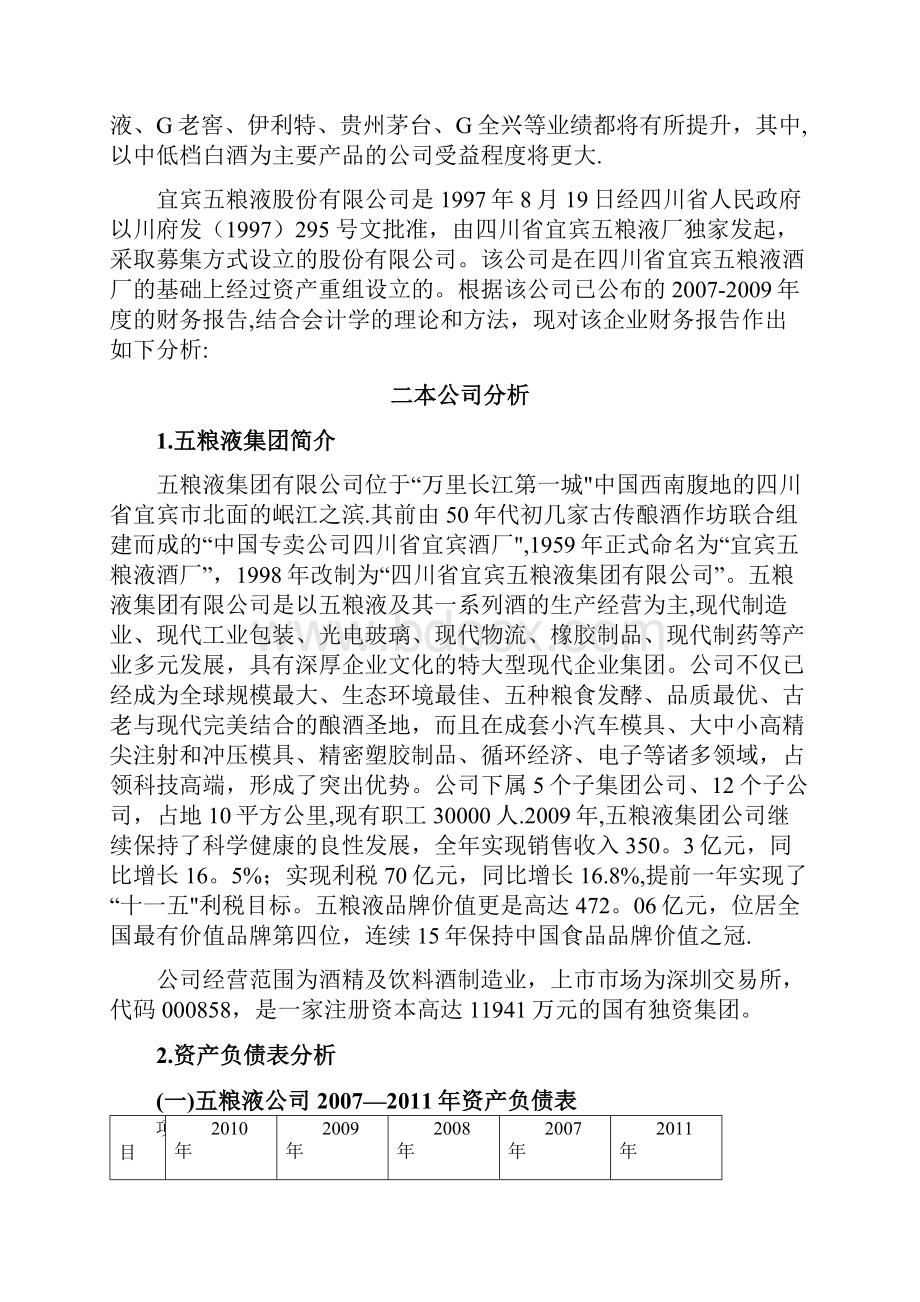 五粮液集团财务分析报告.docx_第2页