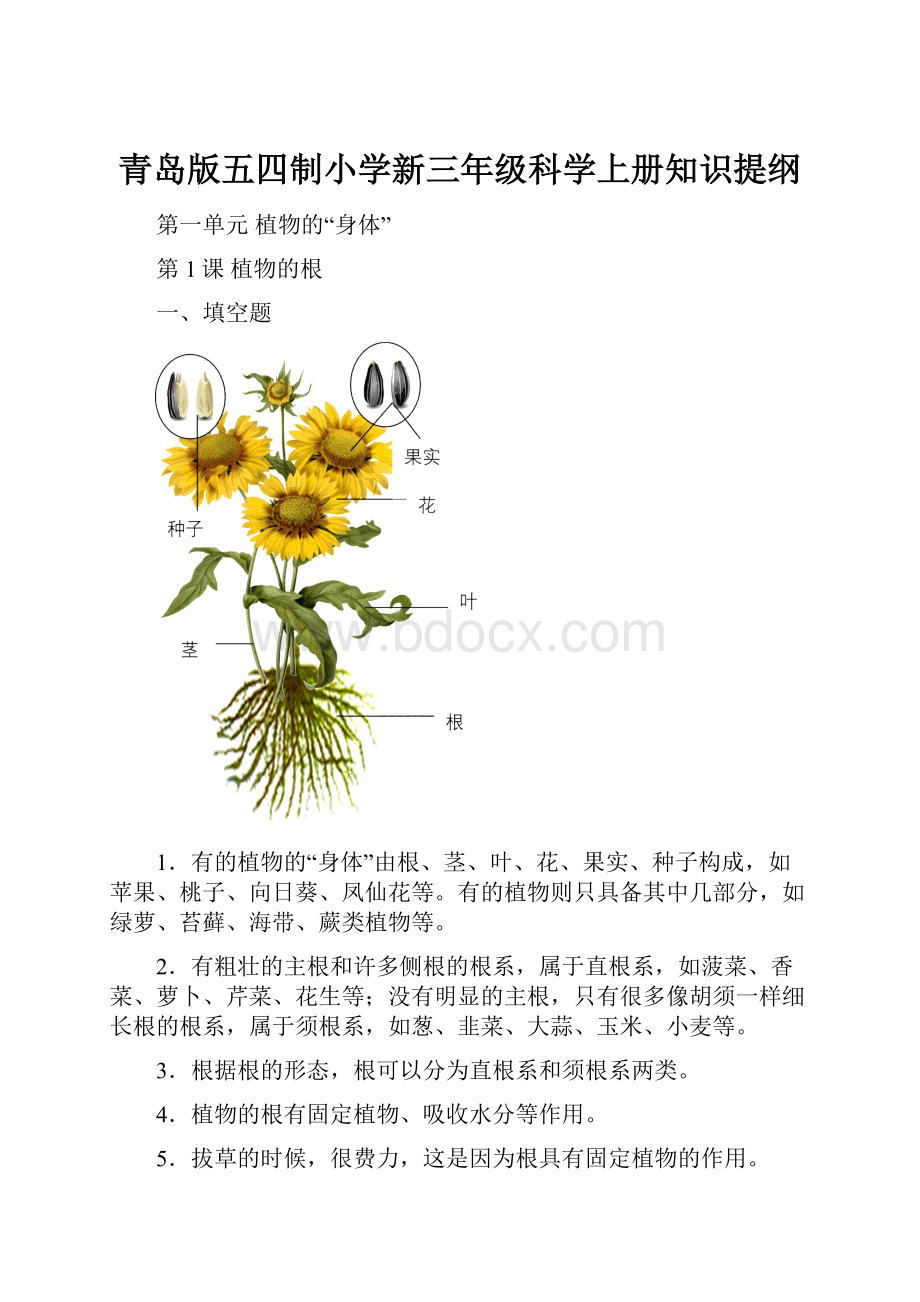 青岛版五四制小学新三年级科学上册知识提纲.docx