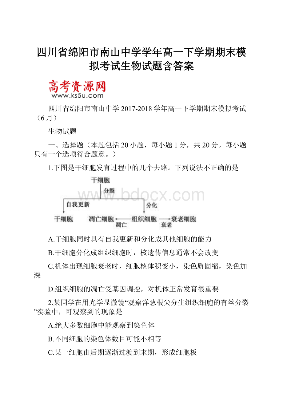 四川省绵阳市南山中学学年高一下学期期末模拟考试生物试题含答案.docx