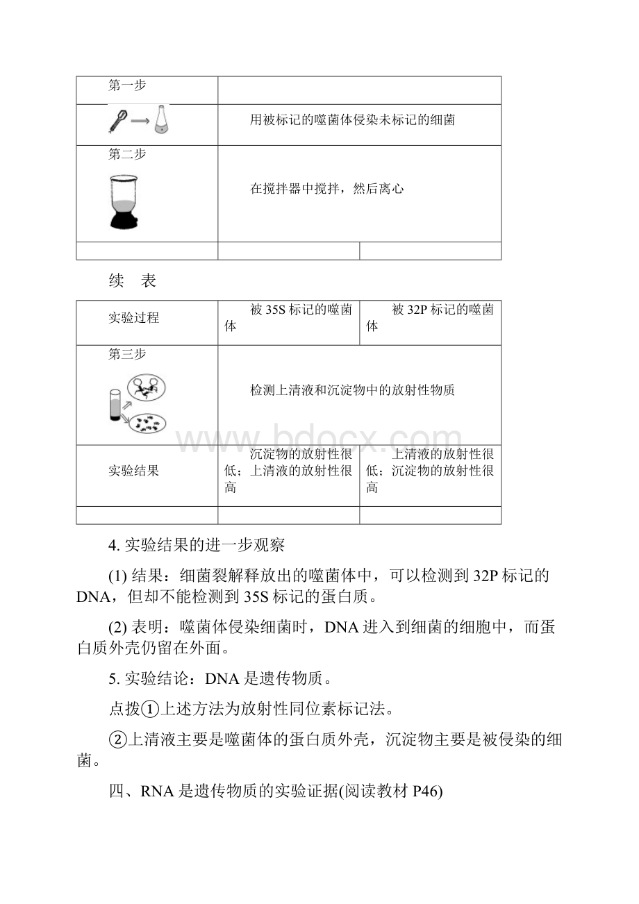 精选高中生物第三章基因的本质第1节DNA是主要的遗传物质导学案新人教版必修2.docx_第3页